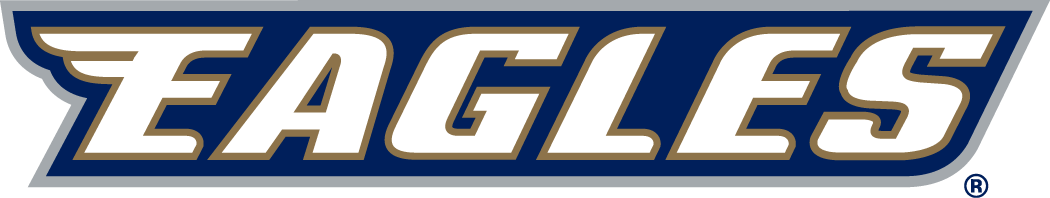 Georgia Southern Eagles 2004-Pres Wordmark Logo v6 iron on transfers for clothing
